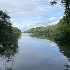 22-05-27 16-33-18 0915